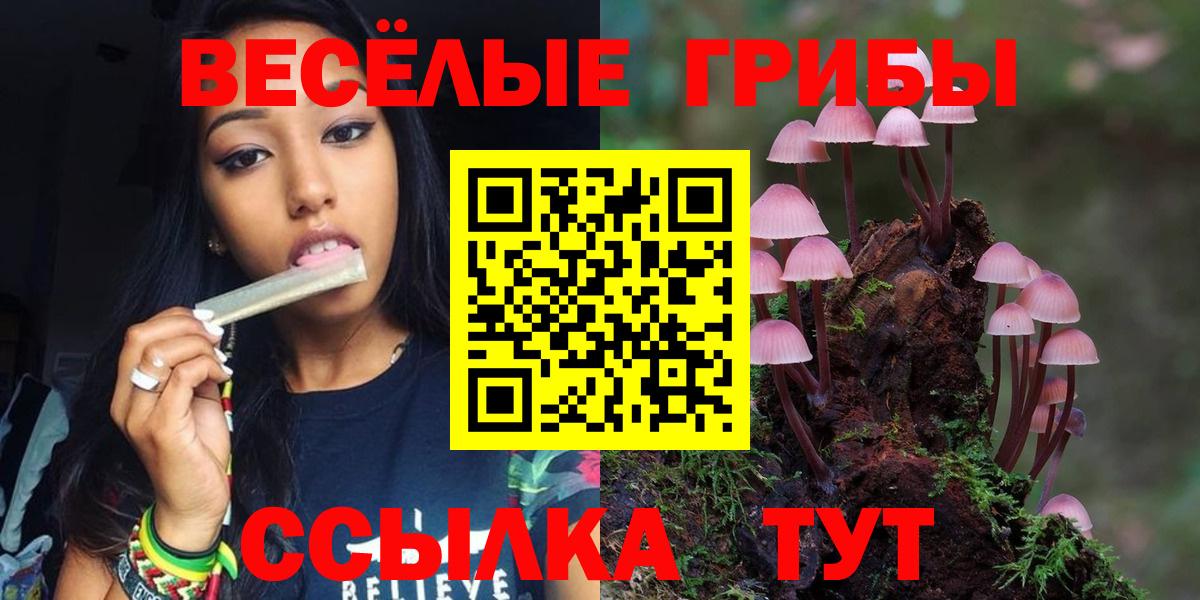 Орёл  даркнет сайт  Вход с VPN  Псилоцибиновые грибы мицелий 